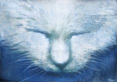 "Kot na niebie", 100x70, technika autorska na papierze